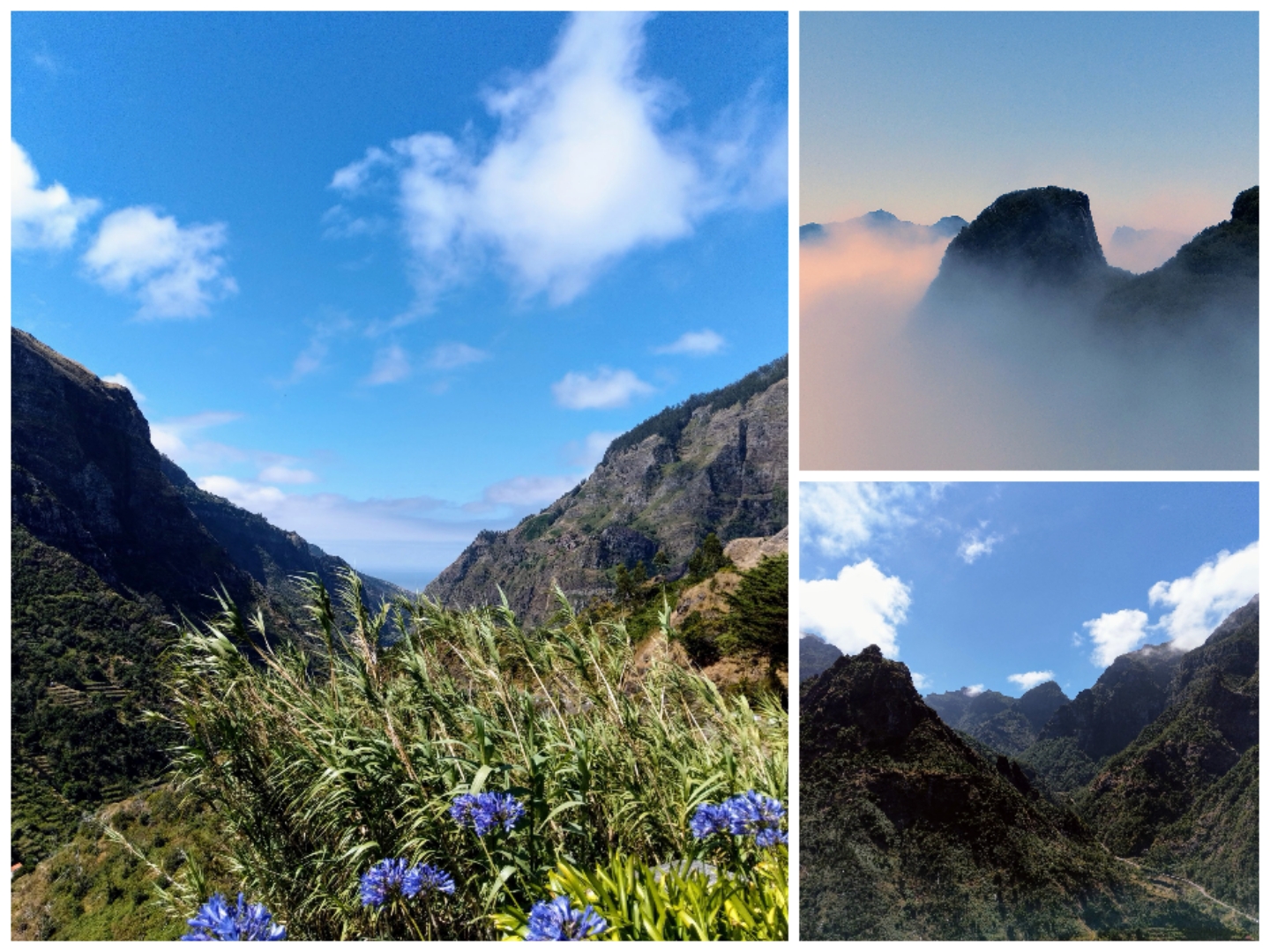 Traumurlaub Madeira
