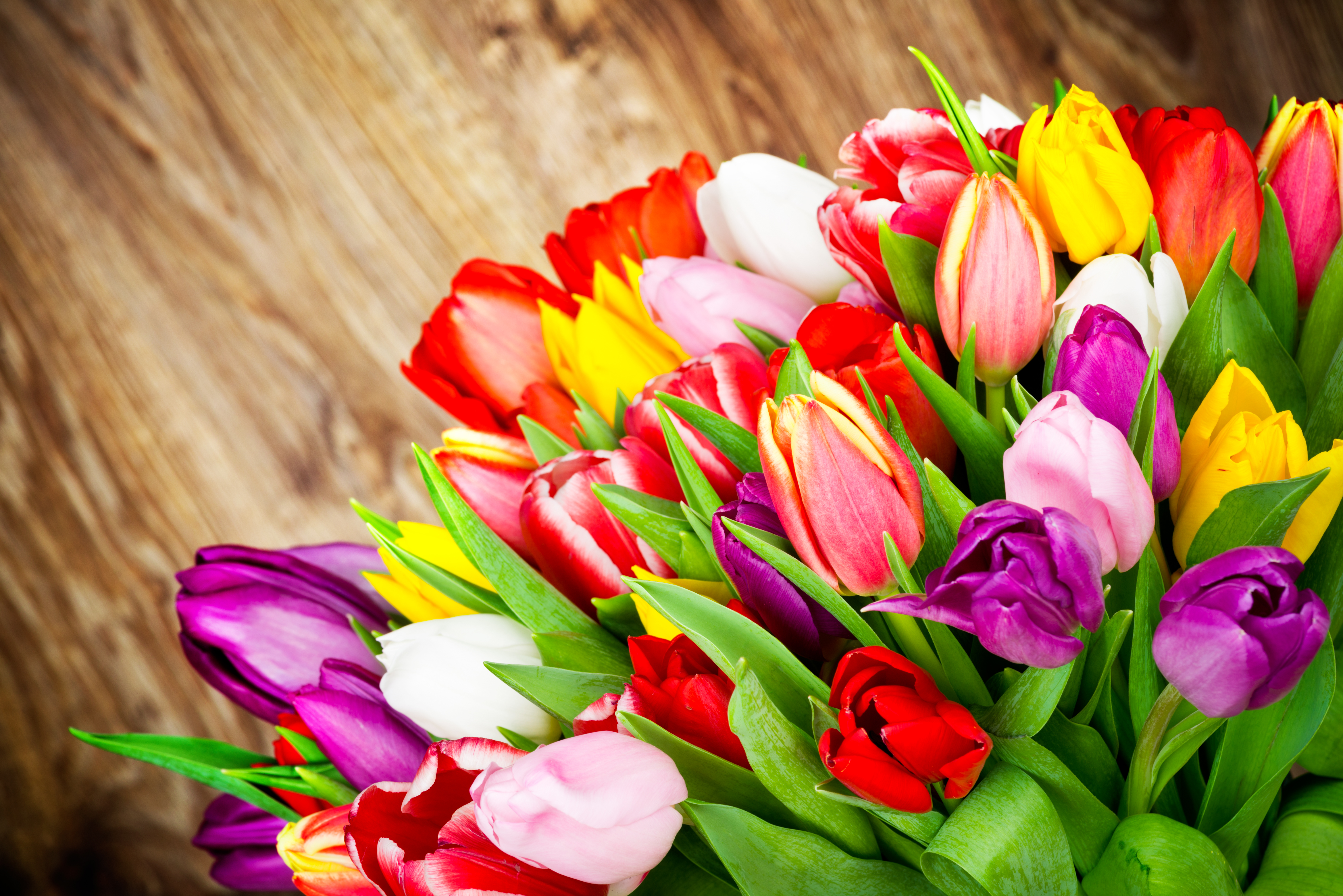 Valentins-Special A-ROSA