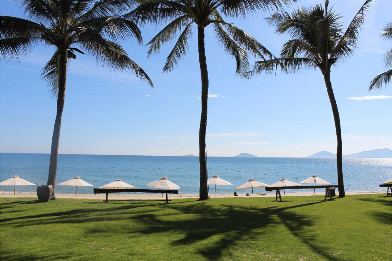 Palm Garden